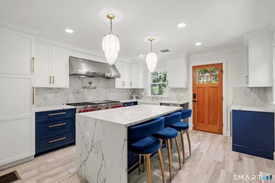 Fully remodeled with top-of-the-line finishes throughout, this - photo 7