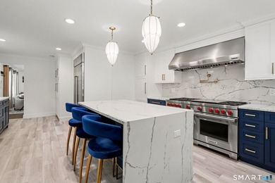 Fully remodeled with top-of-the-line finishes throughout, this - photo 9