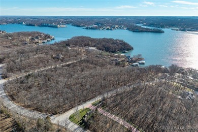 Surrounded by mature trees and natural Ozarks beauty, this - photo 3