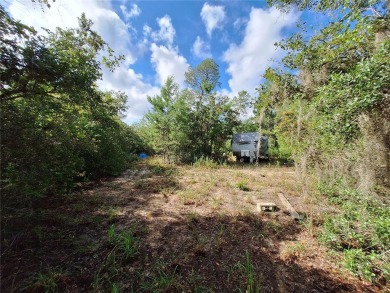 Includes access to Lake Kerr. 4 adjoining lots for a total of - photo 3