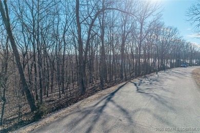 Surrounded by mature trees and natural Ozarks beauty, this - photo 4