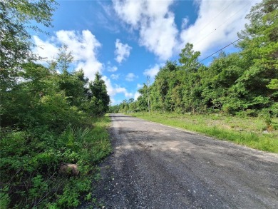 Includes access to Lake Kerr. 4 adjoining lots for a total of - photo 4