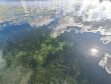 Includes access to Lake Kerr. 4 adjoining lots for a total of - photo 5