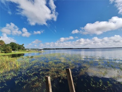 Includes access to Lake Kerr. 4 adjoining lots for a total of - photo 6
