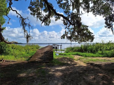 Includes access to Lake Kerr. 4 adjoining lots for a total of - photo 8