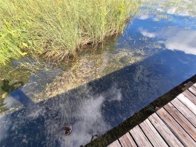 Includes access to Lake Kerr. 4 adjoining lots for a total of - photo 10