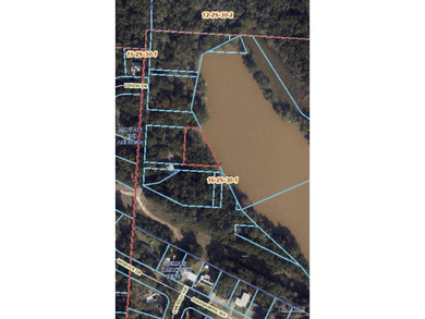 Rare opportunity to acquire a 42+ acre land package along with 3 - photo 4