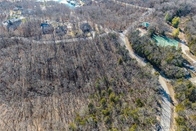 Surrounded by mature trees and natural Ozarks beauty, this - photo 6