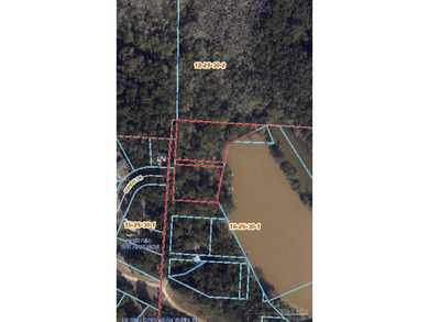 Rare opportunity to acquire a 42+ acre land package along with 3 - photo 6