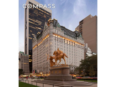 ALL SHOWINGS BY APPOINTMENT ONLY. Central Park Views from Every - photo 11