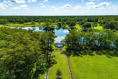 Gated community and privately gated 50 acre estate offers - photo 11