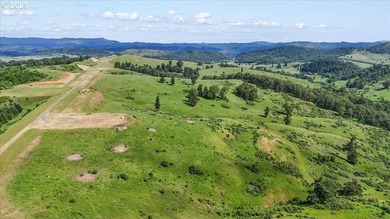 Nestled in Oregon's scenic Umpqua Valley, this extraordinary 2 - photo 12