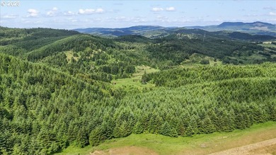 Nestled in Oregon's scenic Umpqua Valley, this extraordinary 2 - photo 13