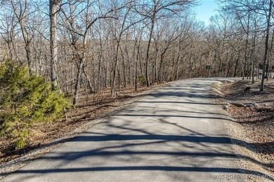 Surrounded by mature trees and natural Ozarks beauty, this - photo 4