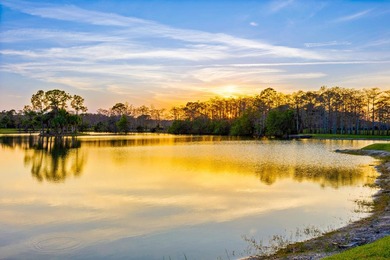 Gated community and privately gated 50 acre estate offers - photo 18