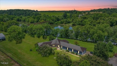 Lake Home For Sale in Church Hill, Tennessee