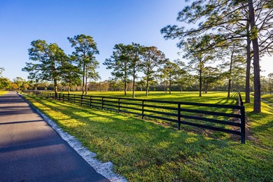 Gated community and privately gated 50 acre estate offers - photo 23
