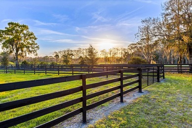 Gated community and privately gated 50 acre estate offers - photo 26