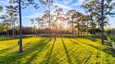 Gated community and privately gated 50 acre estate offers - photo 31