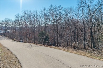 Surrounded by mature trees and natural Ozarks beauty, this - photo 3