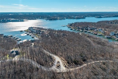 Surrounded by mature trees and natural Ozarks beauty, this - photo 9
