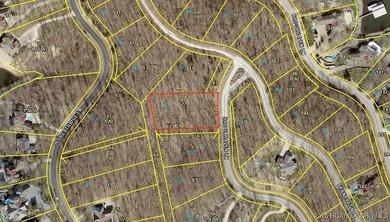 Surrounded by mature trees and natural Ozarks beauty, this - photo 10