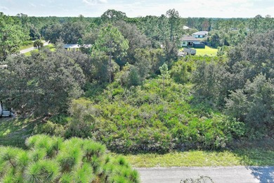 Lehigh Acres Area Lot For Sale in Lehigh Acres Florida