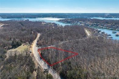 Surrounded by mature trees and natural Ozarks beauty, this - photo 2