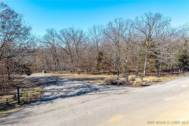 Surrounded by mature trees and natural Ozarks beauty, this - photo 5