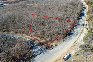 Surrounded by mature trees and natural Ozarks beauty, this - photo 6