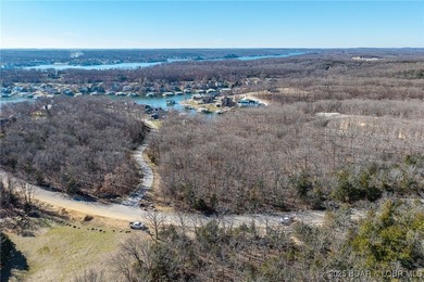 Surrounded by mature trees and natural Ozarks beauty, this - photo 7