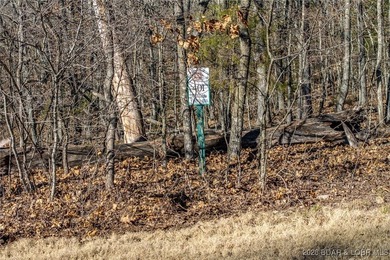 Surrounded by mature trees and natural Ozarks beauty, this - photo 9