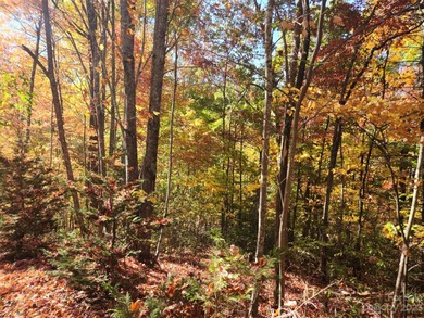 Lake Lure Lot For Sale in Lake Lure North Carolina