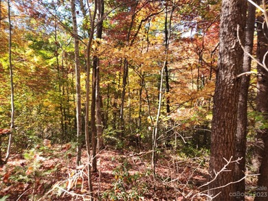 Welcome to Lake View Estates, this beautiful 0.37-acre lot - photo 2