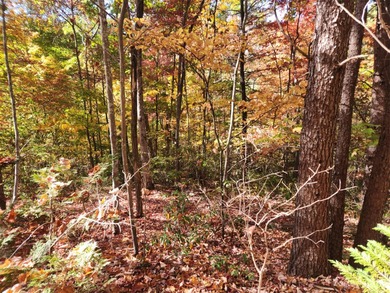 Welcome to Lake View Estates, this beautiful 0.37-acre lot - photo 3