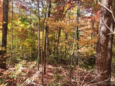 Welcome to Lake View Estates, this beautiful 0.37-acre lot - photo 4