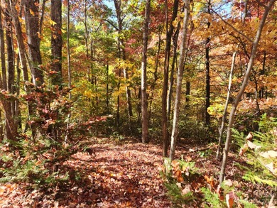 Welcome to Lake View Estates, this beautiful 0.37-acre lot - photo 5