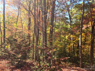 Welcome to Lake View Estates, this beautiful 0.37-acre lot - photo 6