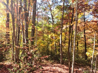 Welcome to Lake View Estates, this beautiful 0.37-acre lot - photo 7