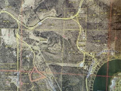 Lake Acreage For Sale in Cape Fair, Missouri