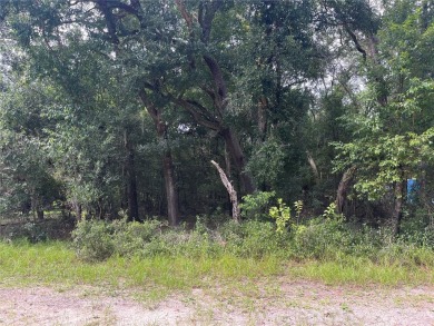 Lake Dorr Lot For Sale in Altoona Florida