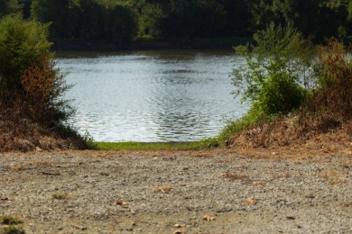 This 23.02+/- acre property sits directly along the Mississippi - photo 5