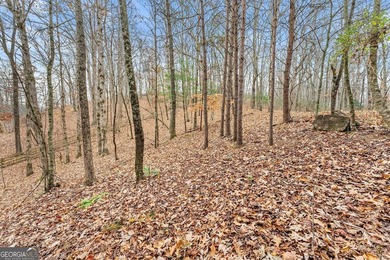 Rare opportunity to own Lake frontage in this highly - photo 32