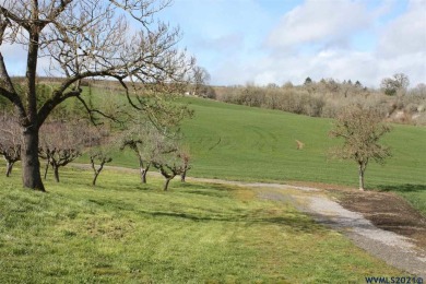 Yamhill farm w/Mtn views in the heart of wine country! This 111+