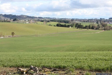 Yamhill farm w/Mtn views in the heart of wine country! This 111+