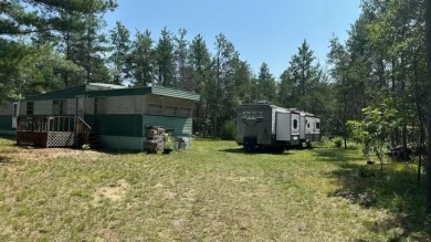 Lake Home For Sale in Nekoosa, Wisconsin