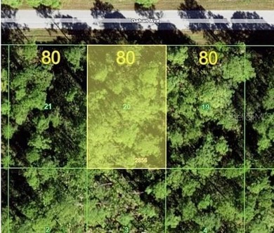 Port Charlotte Waterway Area Lot For Sale in Port Charlotte Florida