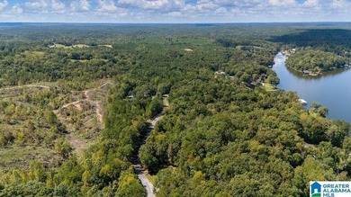 Wooded land, close to Grand Point on Lay - photo 11