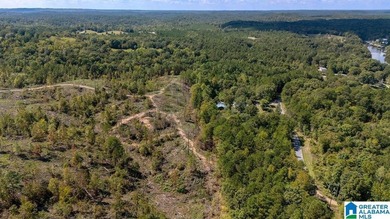 Wooded land, close to Grand Point on Lay - photo 13