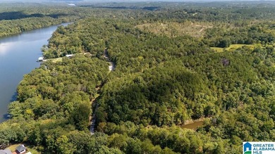 Wooded land, close to Grand Point on Lay - photo 14
